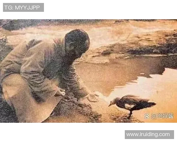 在战火纷飞的岁月中崛起的足球传奇与他们的荣耀之路 在战火纷飞的岁月中崛起的足球传奇与他们的荣耀之路