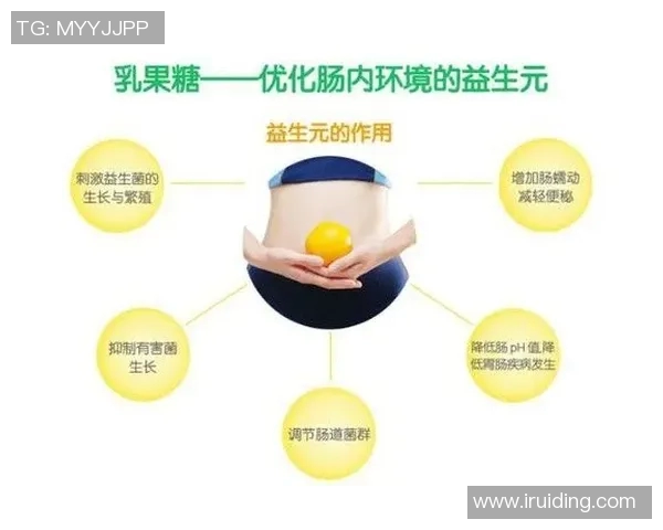 世界足球明星的饮食秘籍揭秘助你提升运动表现与健康生活