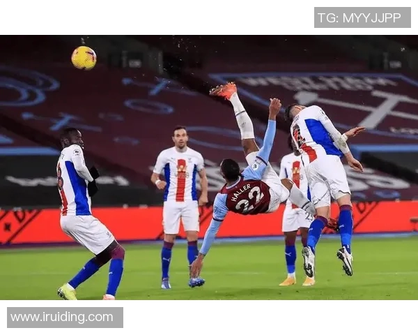 博洛尼亚主场迎战罗马意甲焦点之战引发球迷热议